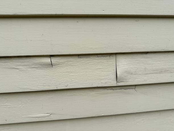Best Siding for New Construction  in Winterville, NC